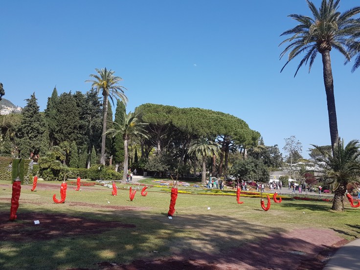 20180424_162416.jpg